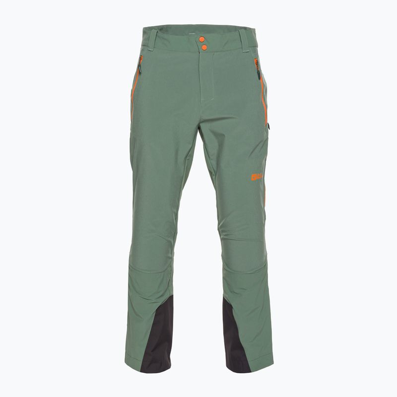 Jack Wolfskin men's trekking trousers Alpspitze Tour hedge green 6