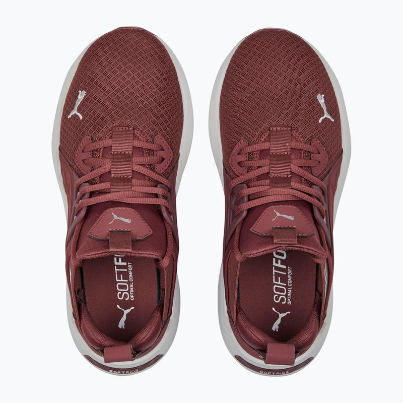 Women's running shoes PUMA Softride Enzo Nxt maroon 195235 17 14