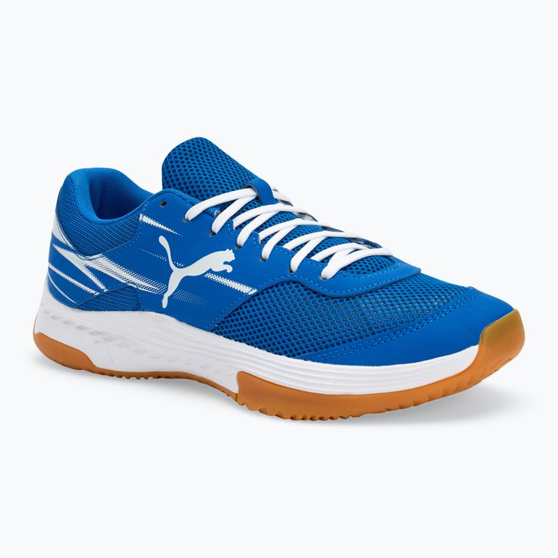 Men's indoor sports shoes PUMA Varion II puma team royal/puma white/gum