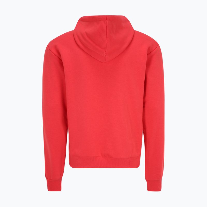 Men's FILA Bengel Regular Hoody cayenne sweatshirt 6