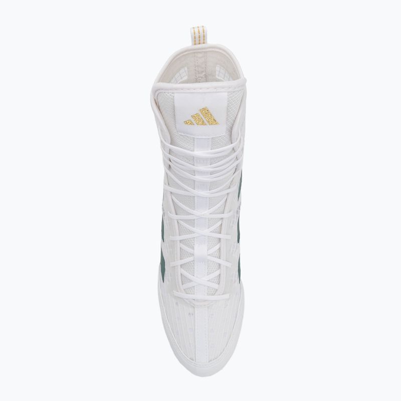 adidas Box Hog 4 cloud white/collegiate green/core black boxing shoes 5