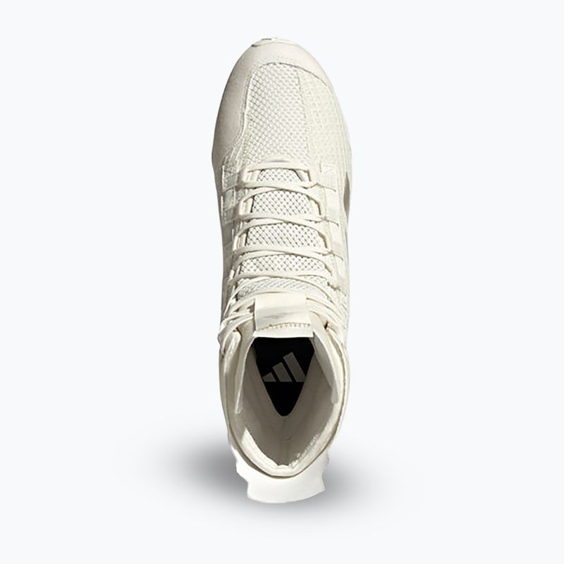 adidas Speedex 23 off white/beige/warm sandstone boxing shoes 14