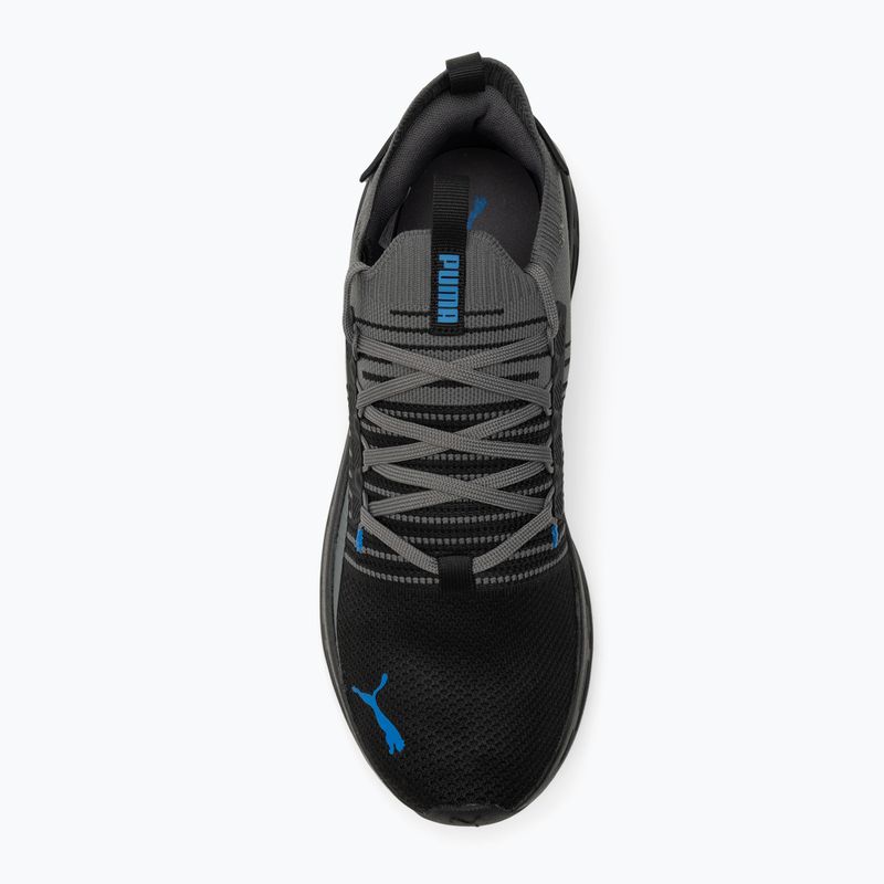 PUMA Softride Symmetry Fuzion puma black/cool dark gray/puma team royal running shoes 5