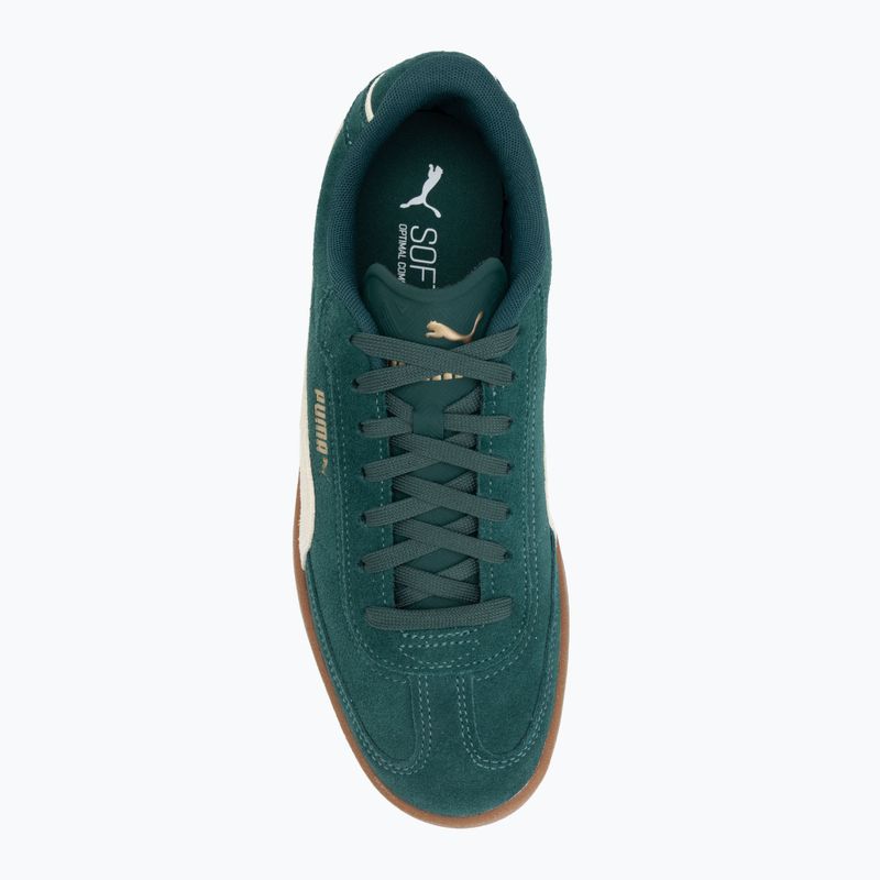 Men's shoes PUMA Club II Era Suede dark myrtle/alpine snow/gum 5