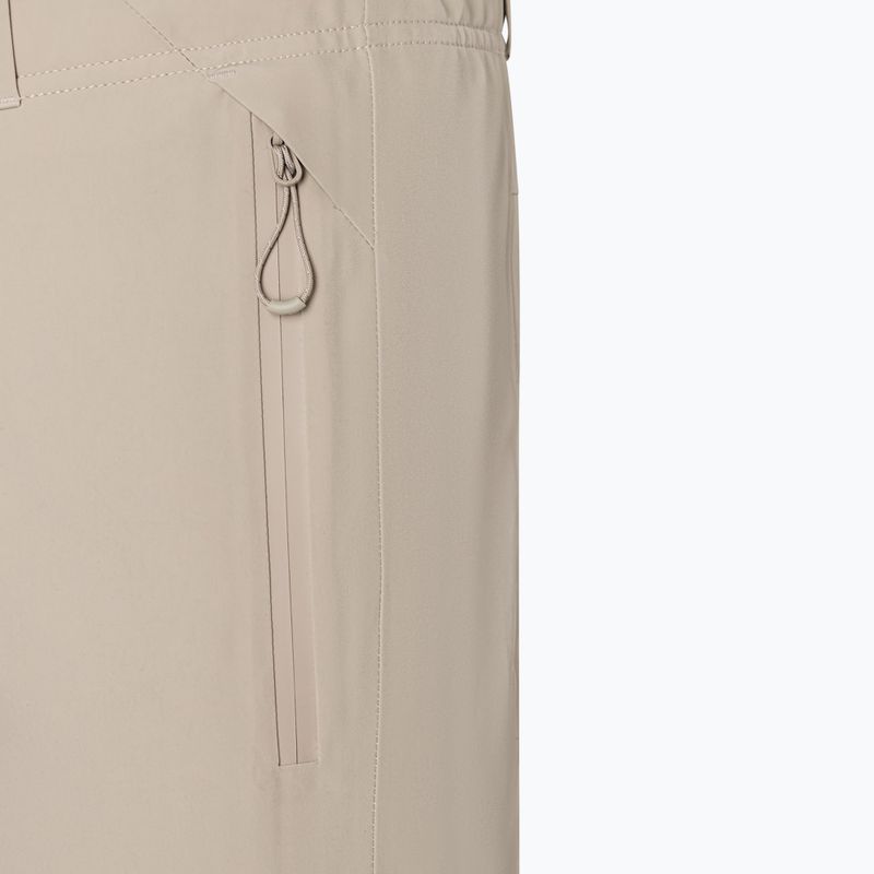 Men's ski trousers BOGNER FIRE+ICE Nic-T nomadic desert 3