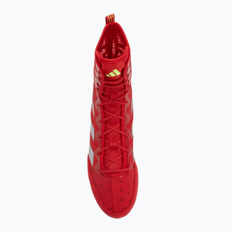 Boxing shoes adidas Box Hog 4 red 5