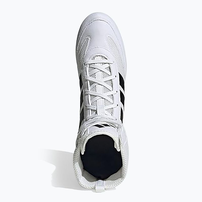 Boxing shoes adidas Box Hog Classic white 5