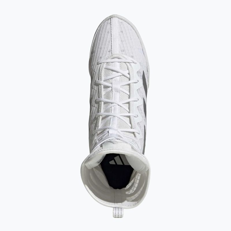 Boxing shoes adidas Box Hog 4 white/silver 5
