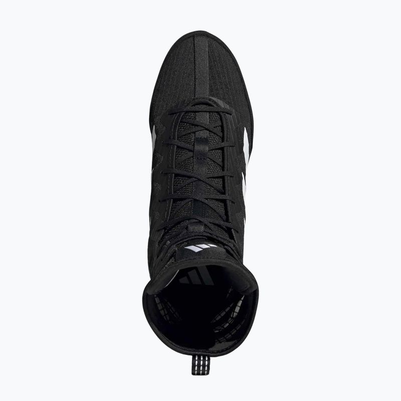 Boxing shoes adidas Box Hog 4 black/white 5