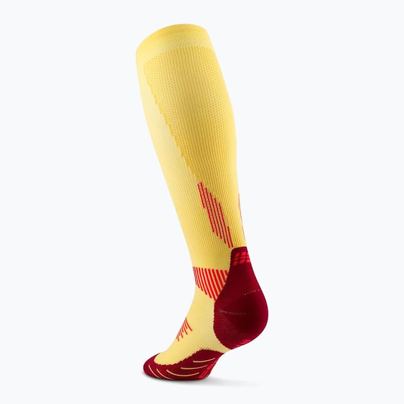 CEP Run Tall 5.0 women's compression socks marigold/burgundy 3