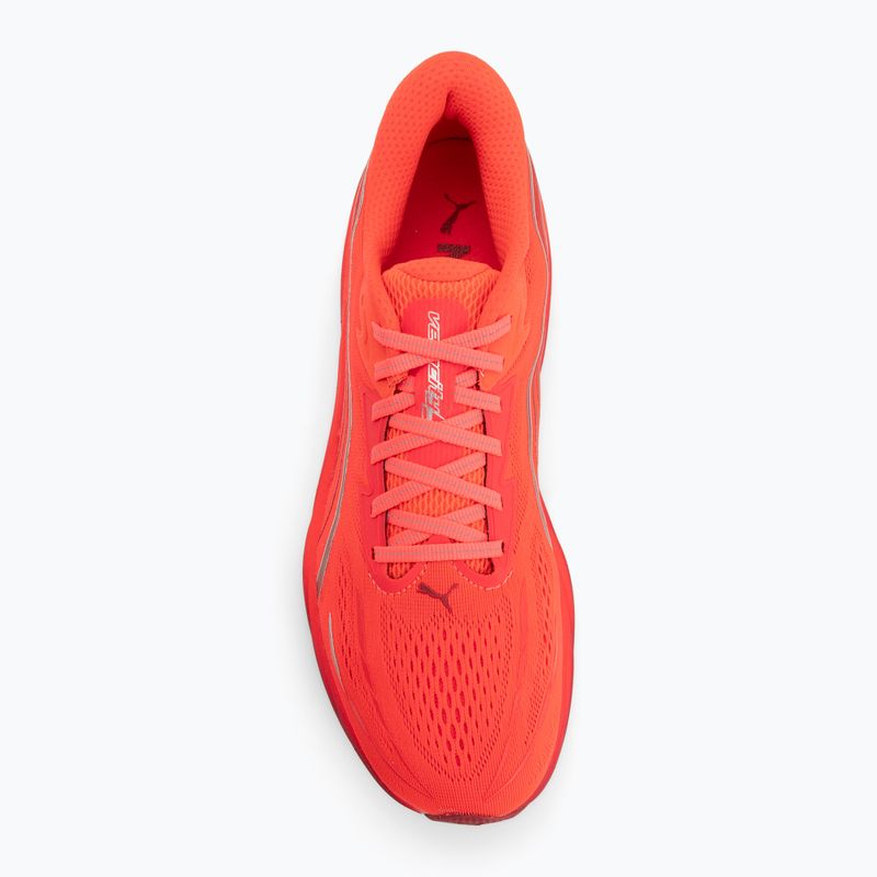 Men's running shoes Puma Velocity Nitro 5 ultra red/red rhythm 5