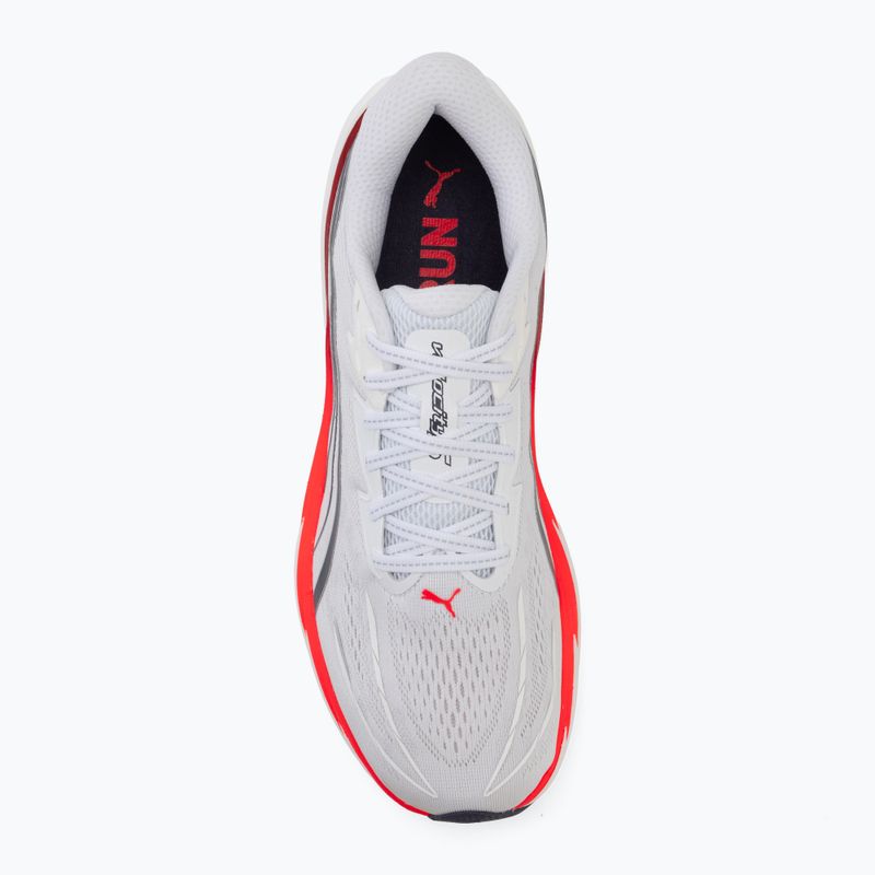 Men's running shoes Puma Velocity Nitro 5 puma white/ultra red 5