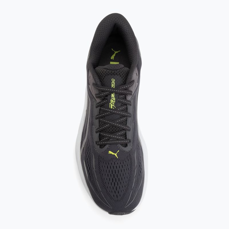 Men's running shoes Puma Velocity Nitro 5 moody gray/sunny lime 5