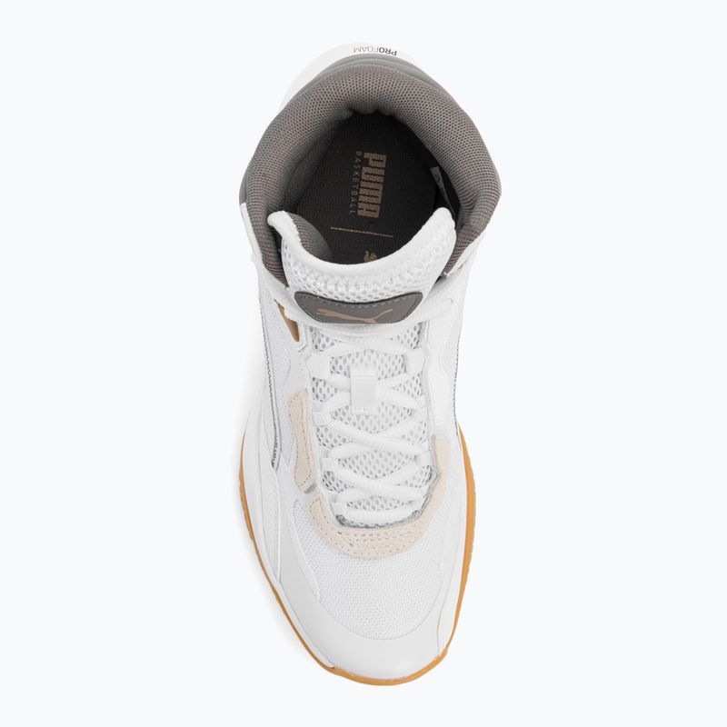 Men's basketball shoes PUMA Playmaker Pro Mid Trophies ash gray/cast iron/puma gold 6