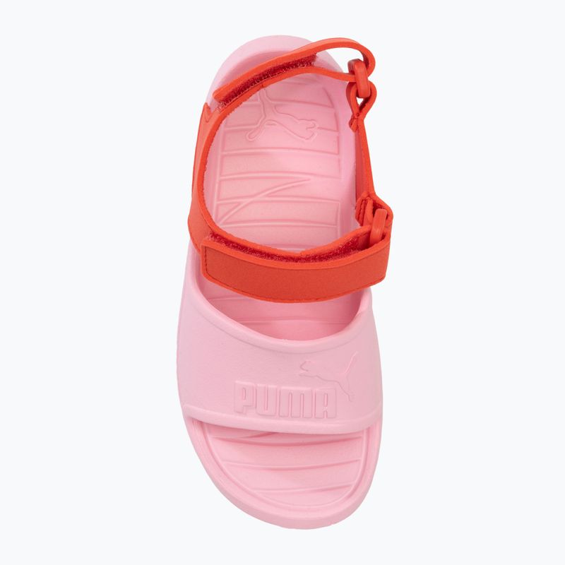 PUMA Divecat v2 Injex PS children's sandals pink lilac/active red 5