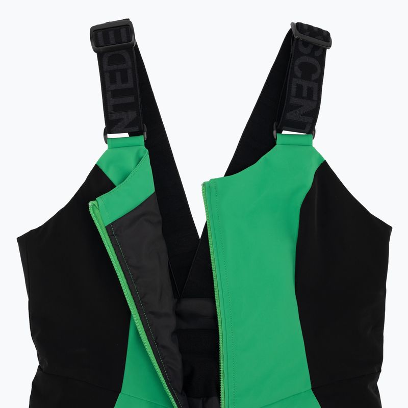 Ski trousers Descente Velche 19 bio green 4