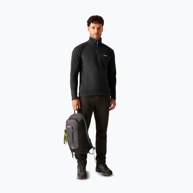 Men's sweatshirt REGATTA Montes ash 2