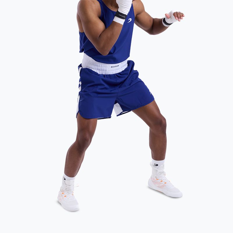 Men's training shorts Boxraw Stevenson V2 blue/white 5