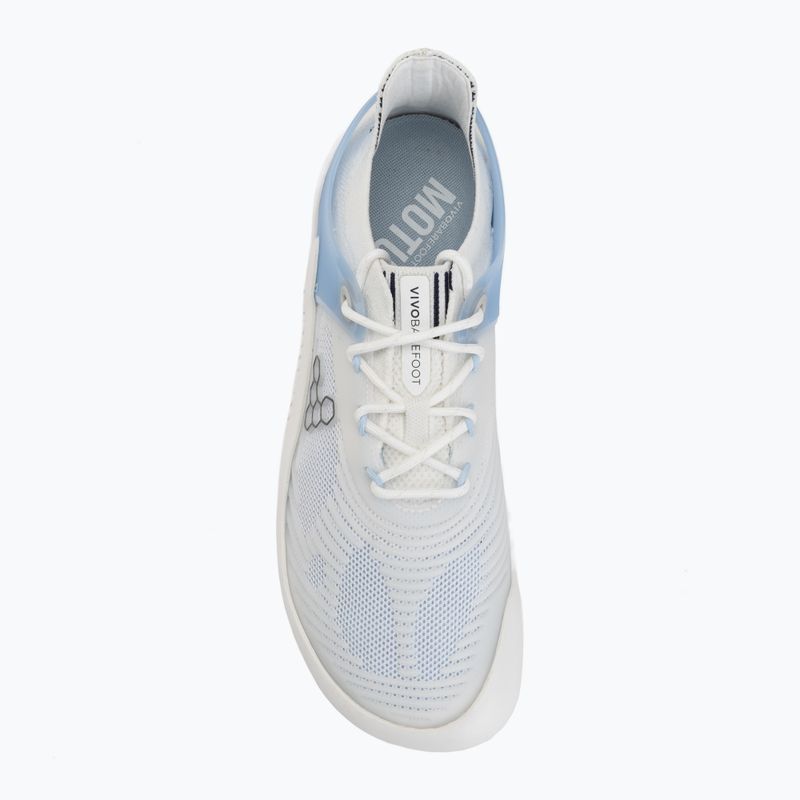 Women's barefoot shoes Vivobarefoot Motus Strenght II sky blue 5