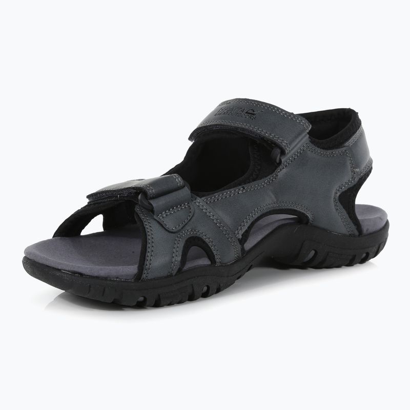 Men's sandals REGATTA Haris briar 2