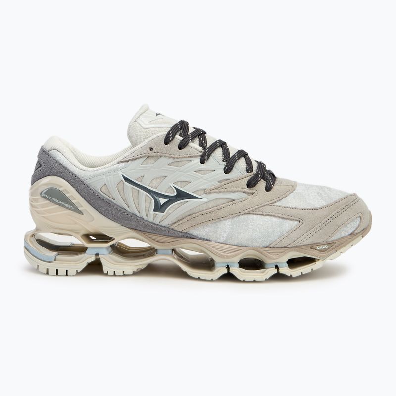 Mizuno Wave Prophecy LS nimbus cloud/magnet/silver cloud shoes 2