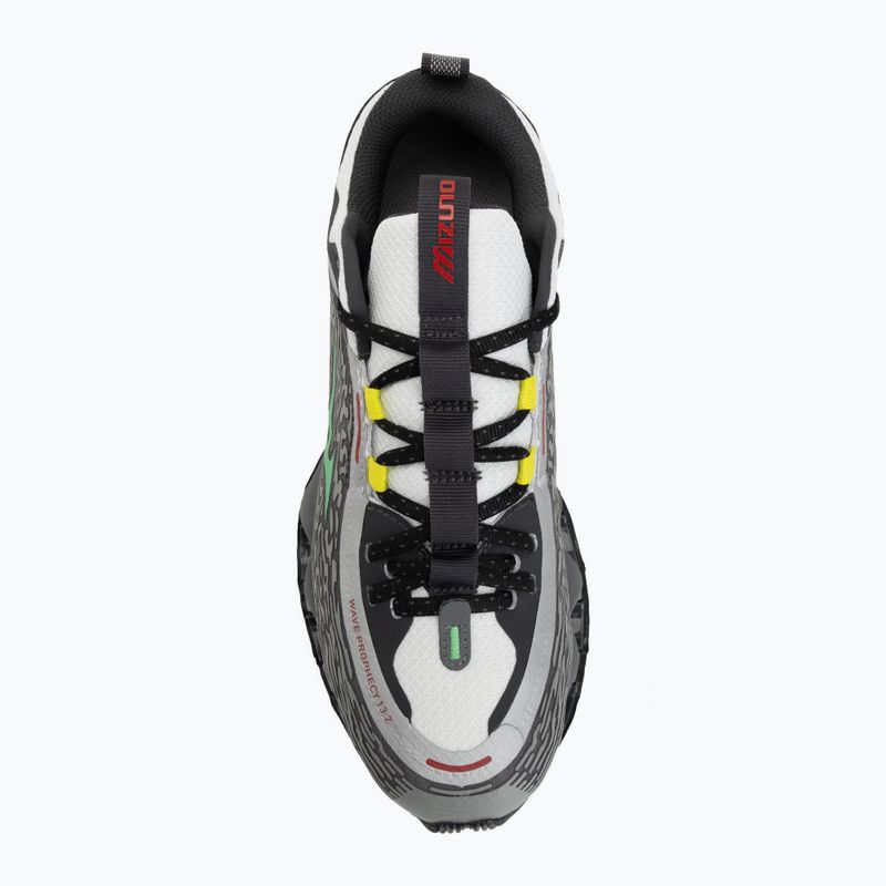 Shoes Mizuno Wave Prophecy 13.2 quiet shade/vibrant green 5