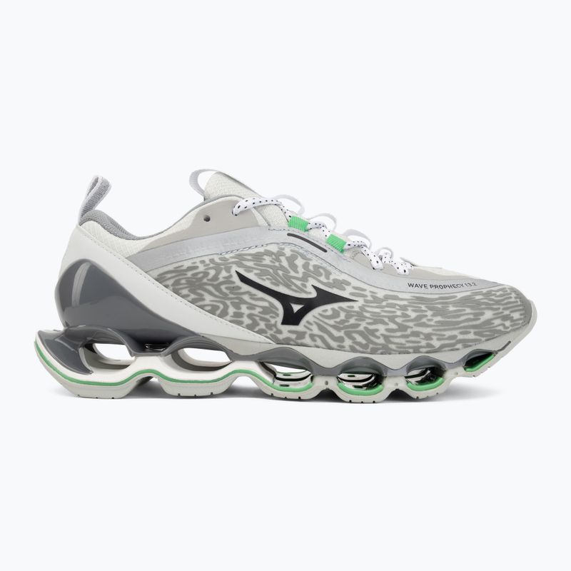 Shoes Mizuno Wave Prophecy 13.2 harbor mist/black/vibrant green 2