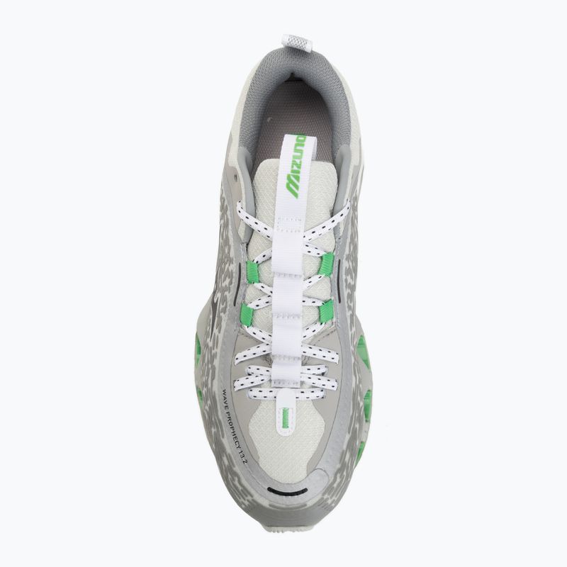 Shoes Mizuno Wave Prophecy 13.2 harbor mist/black/vibrant green 5