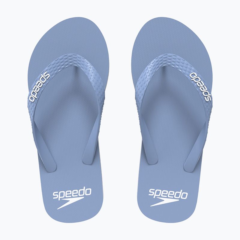 Men's flip-flops Speedo Flip Flop curious blue
