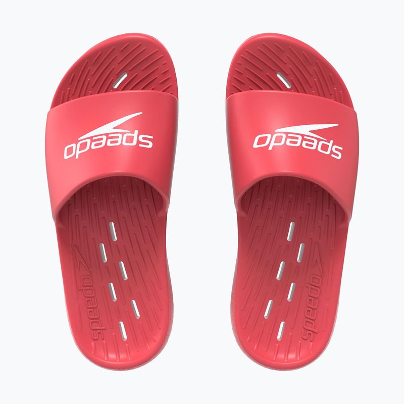 Men's Speedo Slide flip-flops fed red 8