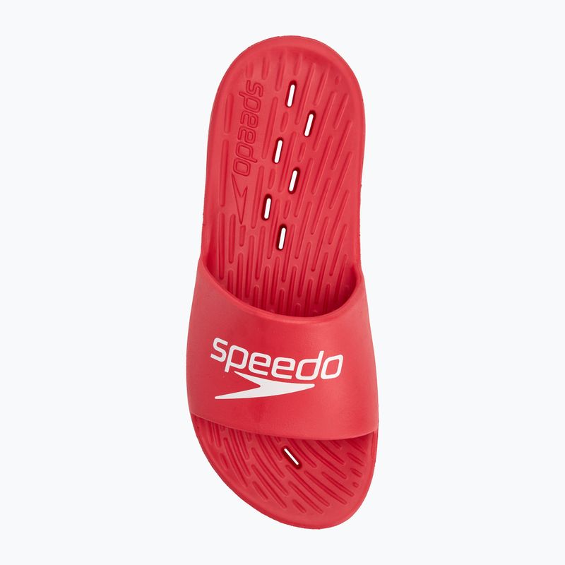 Men's Speedo Slide flip-flops fed red 5