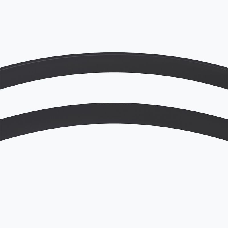 Swim mask Speedo Hydrosity speedo black / smoke 7