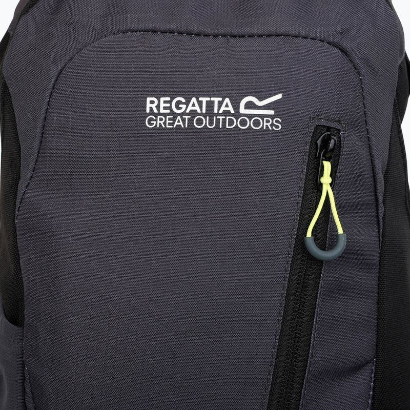 Hiking backpack REGATTA Highton V2 20 l black/seal 6