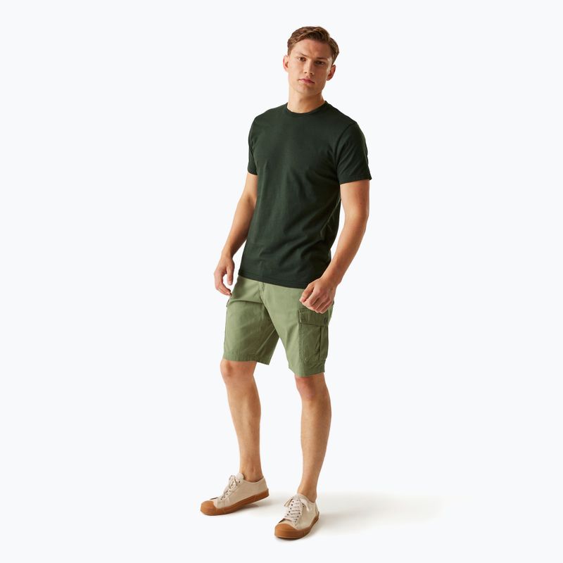 Men's REGATTA Ruwan fauna trekking shorts 2