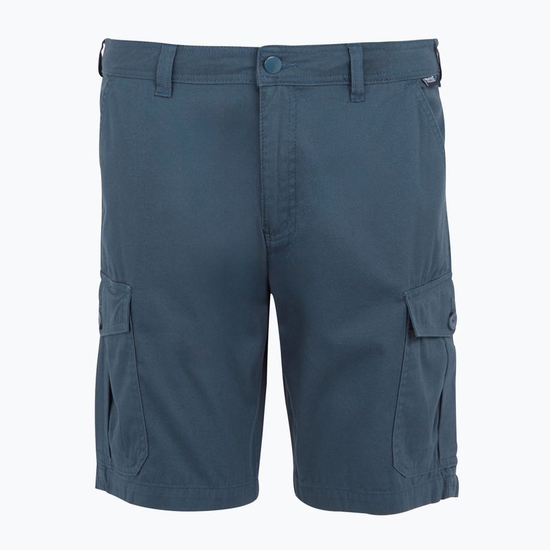 Men's REGATTA Ruwan midnight trekking shorts 5
