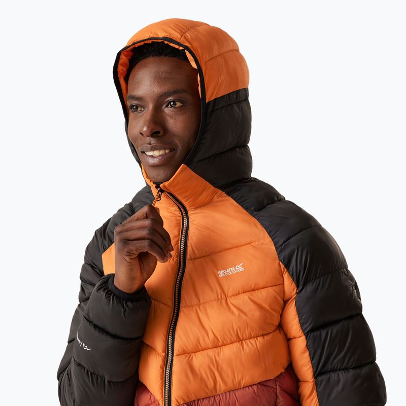 Men's REGATTA Hooded Dalent down jacket fox/red ochre 4