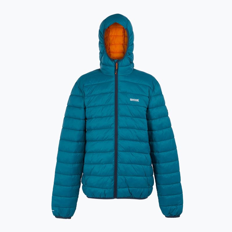 Men's REGATTA Hooded Marizion down jacket moroccan blue/fox 8