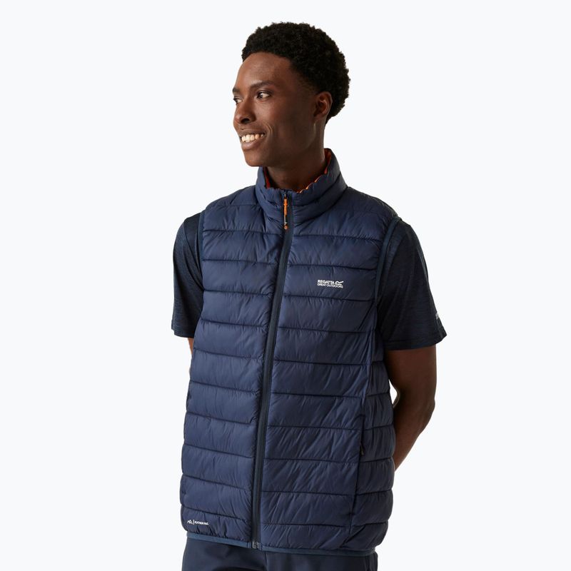 Men's gilet REGATTA Marizion B/W navy/fox