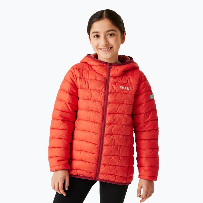 Children's down jacket REGATTA Junior Hooded Marizion red sky/mineral red