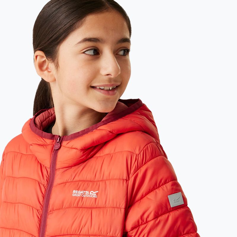 Children's down jacket REGATTA Junior Hooded Marizion red sky/mineral red 4