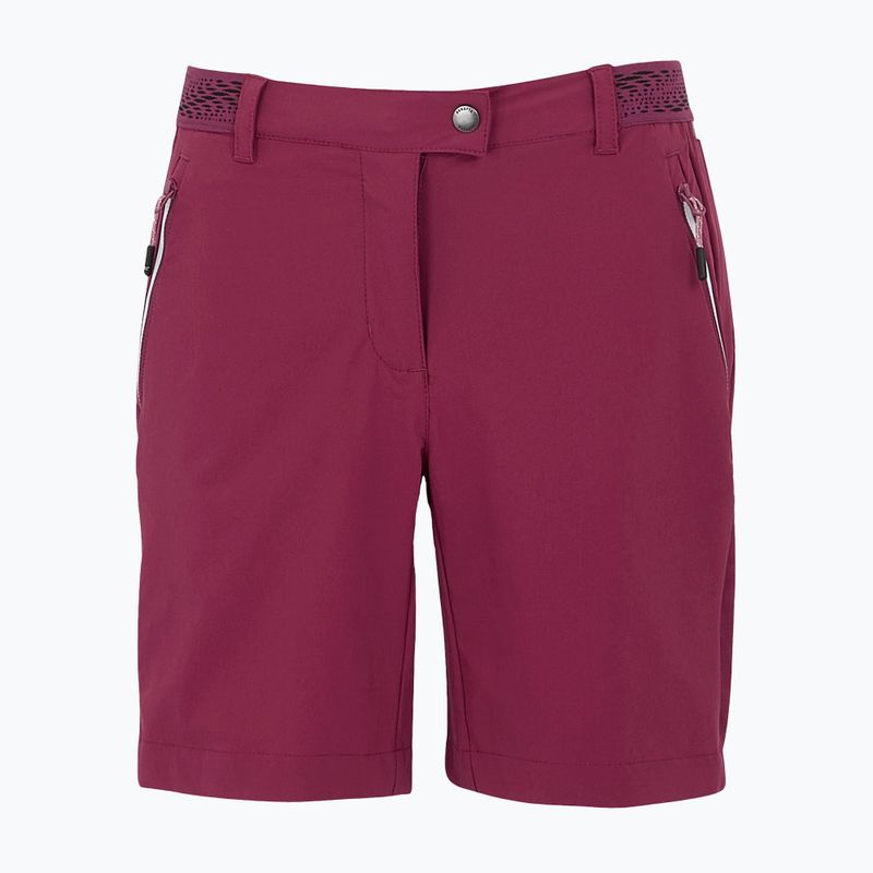 Women's trekking shorts REGATTA Mountain II beaujolais 5