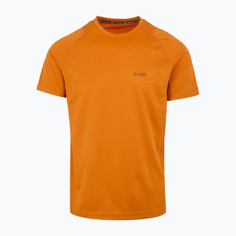 Men's T-shirt REGATTA Virda IV fox 5