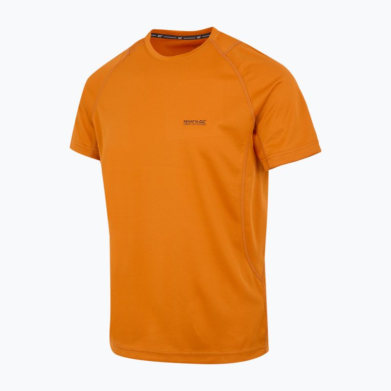Men's T-shirt REGATTA Virda IV fox 7