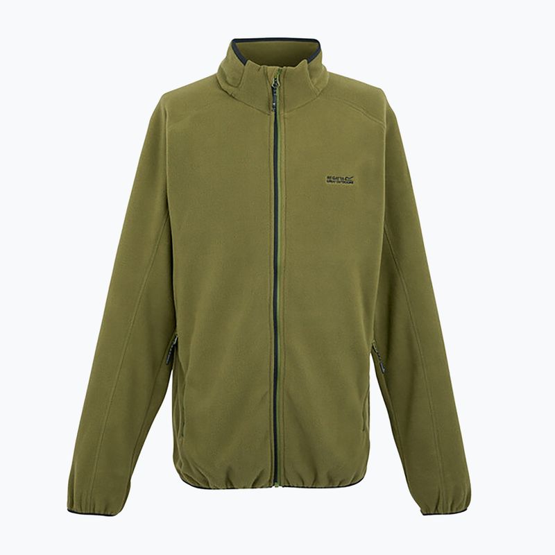 Men's fleece sweatshirt REGATTA Hadfield nephrite green 5