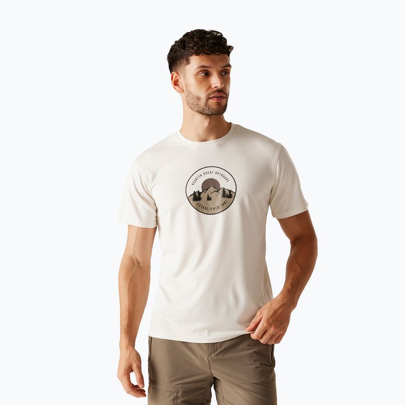 Men's trekking T-shirt REGATTA Fingal IX stone white