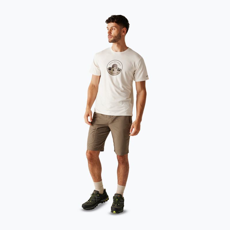 Men's trekking T-shirt REGATTA Fingal IX stone white 2