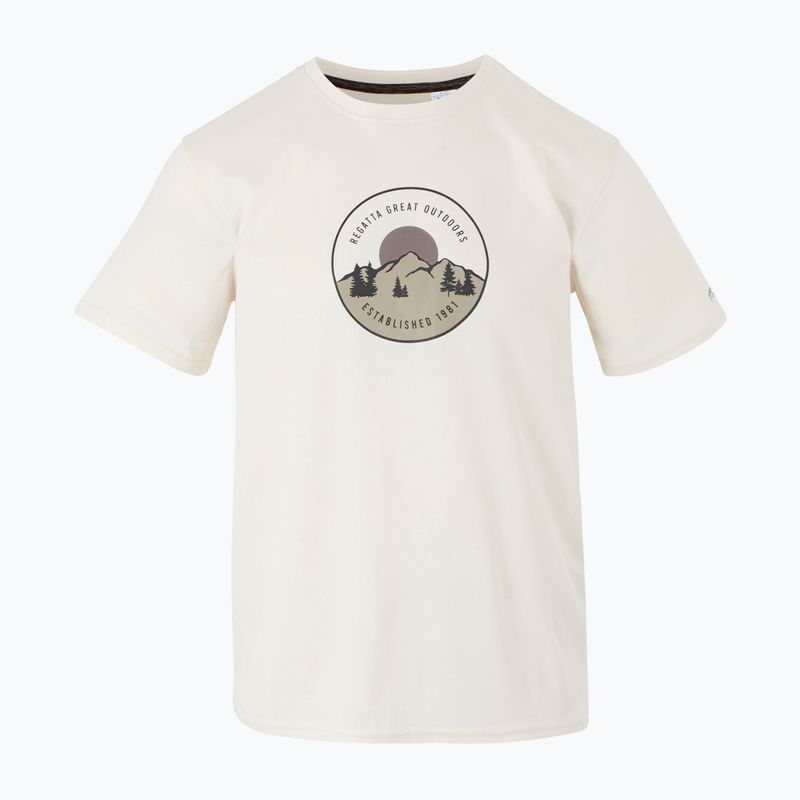 Men's trekking T-shirt REGATTA Fingal IX stone white 5