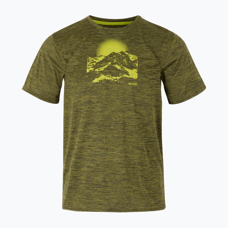Men's trekking T-shirt REGATTA Fingal IX nephrite green marl 5