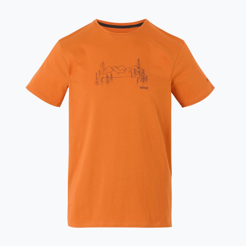 Men's trekking T-shirt REGATTA Breezed V fox