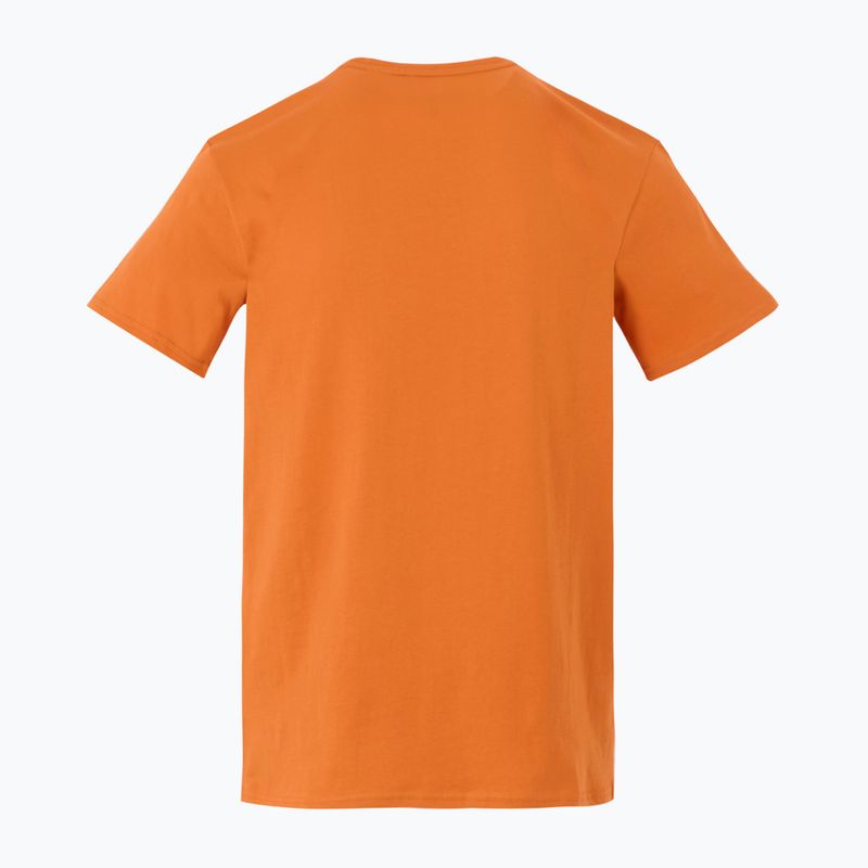 Men's trekking T-shirt REGATTA Breezed V fox 2
